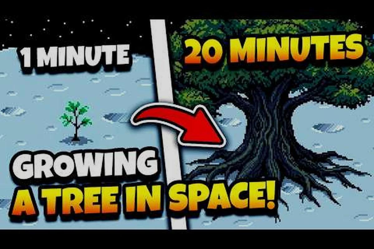 Moon Garden Tree Grow Again: Mulching erklärt